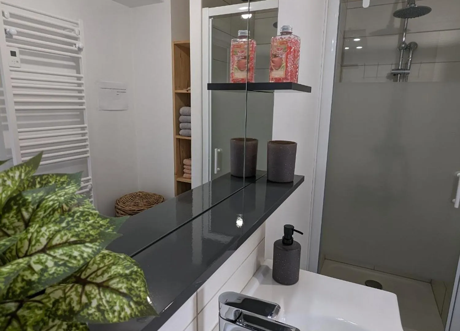 Gîte Reflets de Montagnes Tarascon-sur-Ariège Appartement